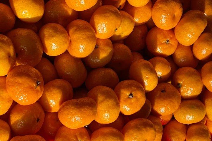 Uzbekistan has discovered mandarins with fake phytosanitary certificates and quarantine pests.